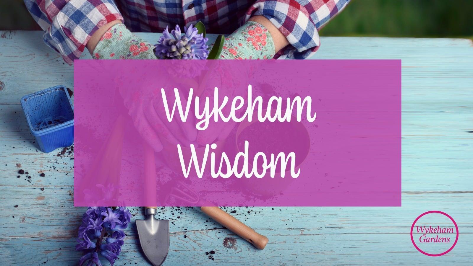 Wykeham Wisdom for May